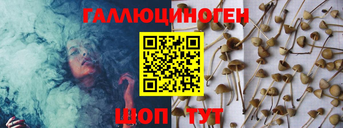 Галлюциногенные грибы Psilocybine cubensis  Вход с VPN  Псилоцибиновые грибы прущие грибы  Бузулук 